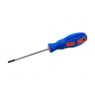 TR244855 General Purpose 3mm Screwdriver for Peter Child Pyrography Machine