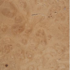 Oak Burr Veneer 300 x 210