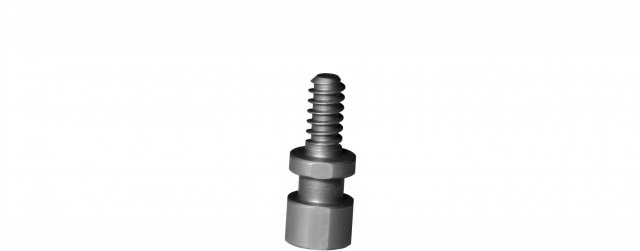 10006 - SAFELOCK Woodworm Screw