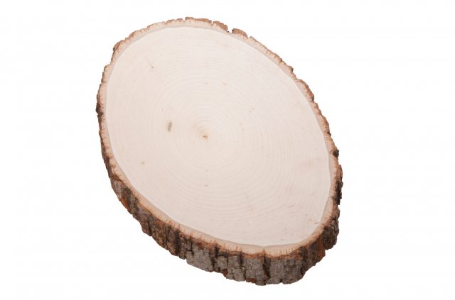 XLBR - Basswood - Round - XL