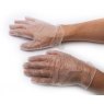 Vinyl Gloves - Pack of 10