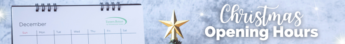 Christmas 2023 - Medium Banner